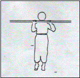 Endurance Musculaire des Membres Sup&eacute;rieurs
