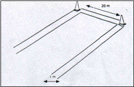 Endurance Cardio Respiratoire